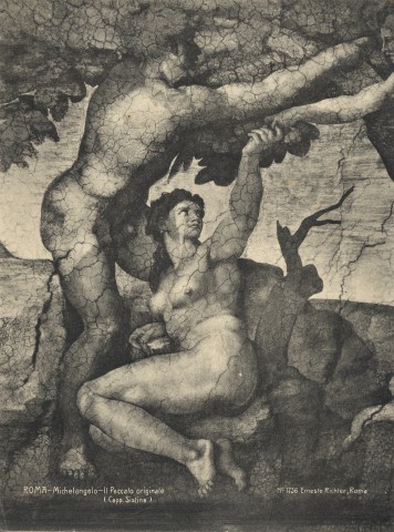 Anonimo — Roma - Michelangelo - Il Peccato originale (Capp. Sistina) — particolare